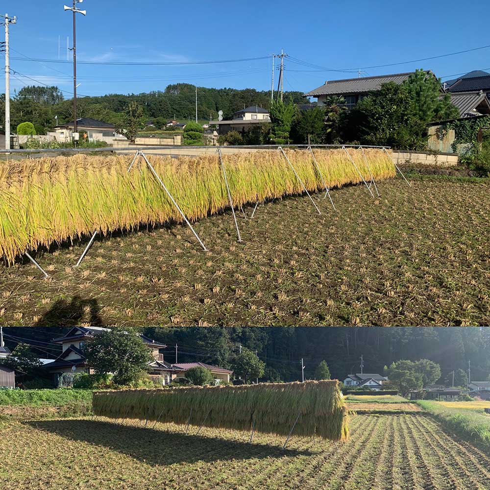 はざかけ